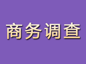 青县商务调查