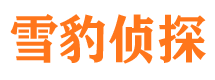 青县外遇出轨调查取证